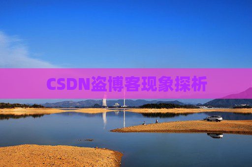 CSDN盗博客现象探析
